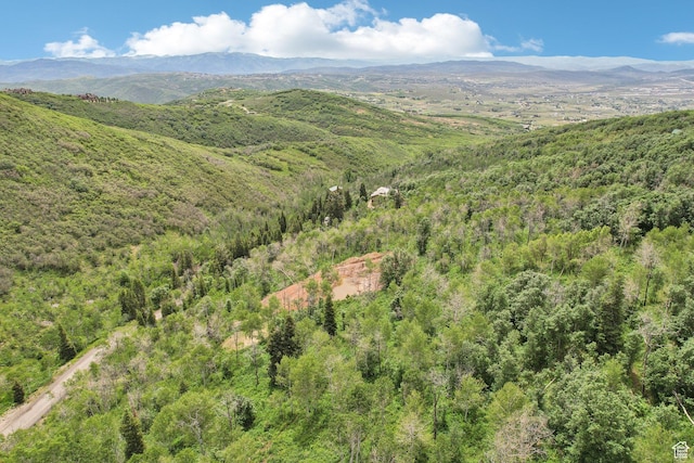10215 N Basin Canyon Rd Unit 41, Park City, UT 84098 - photo 17
