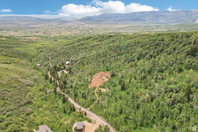 10215 N Basin Canyon Rd Unit 41, Park City, UT 84098 - photo 2