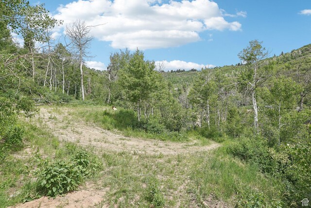 10215 N Basin Canyon Rd Unit 41, Park City, UT 84098 - photo 11