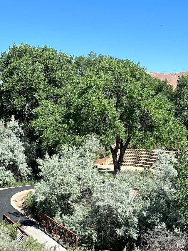 view of local wilderness