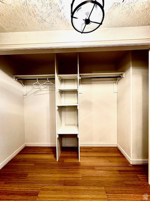 spacious closet with hardwood / wood-style flooring
