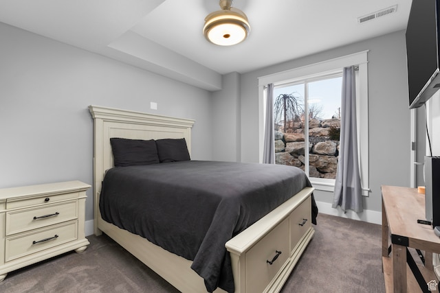 3297 W Blue Springs Ln, Bluffdale, UT 84065 - bedroom with dark colored carpet