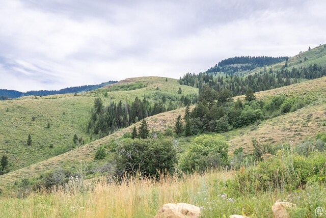 52 Juniper Dr Unit 499, Fish Haven, ID 83287