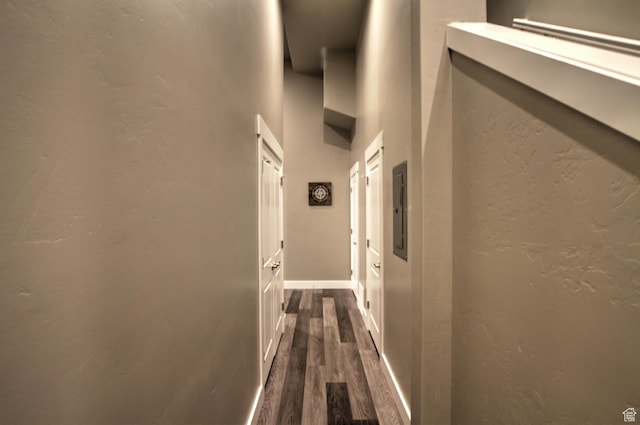 55 W Buttercup Ln Unit 26, Garden City, UT 84028 - hallway featuring dark hardwood / wood-style flooring and a towering ceiling