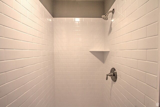 55 W Buttercup Ln Unit 26, Garden City, UT 84028 - interior details with a tile shower