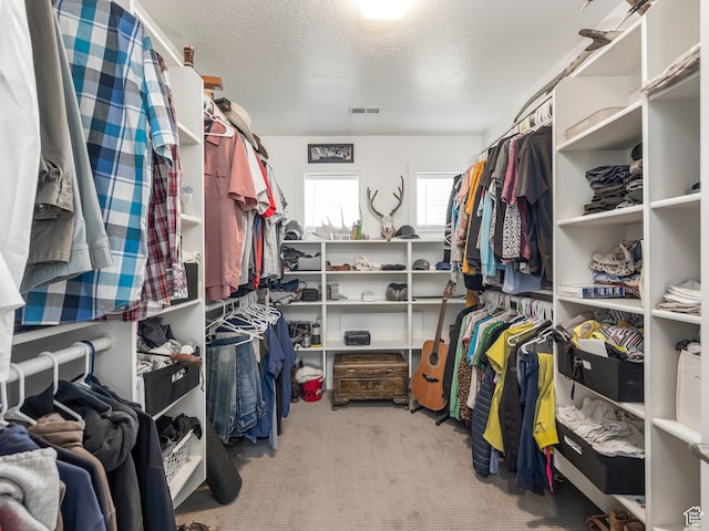 632 W 1460 S, Spanish Fork, UT 84660 - walk in closet with light colored carpet