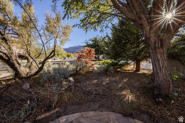 1039 E Pack Creek Dr, Moab, UT 84532 - photo 5