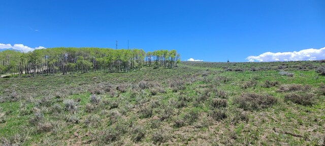 Unit D34, Spanish Fork, UT 84660
