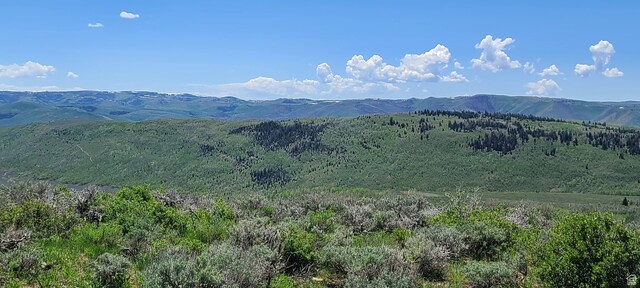 Unit D34, Spanish Fork, UT 84660