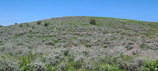 Unit D34, Spanish Fork, UT 84660