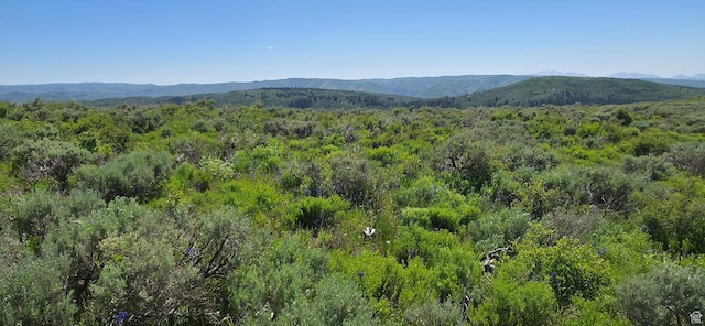Unit D34, Spanish Fork, UT 84660 - photo 7