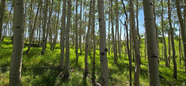 Unit D34, Spanish Fork, UT 84660 - photo 11