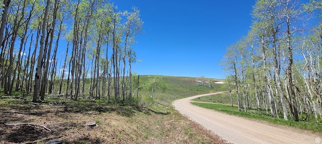 Unit D34, Spanish Fork, UT 84660