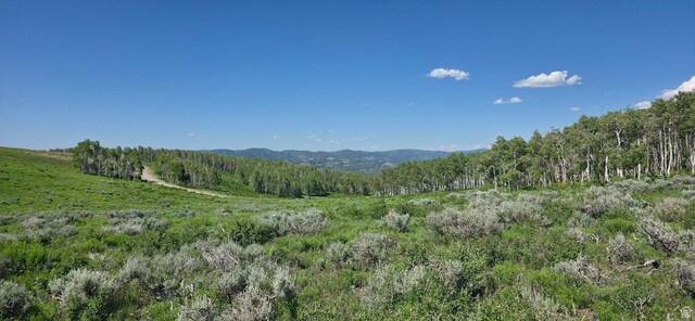Unit D34, Spanish Fork, UT 84660 - photo 5
