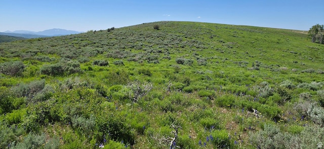 Unit D34, Spanish Fork, UT 84660 - photo 6