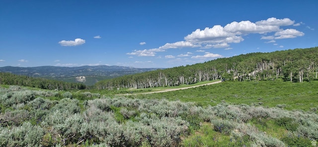 Unit D34, Spanish Fork, UT 84660 - photo 4