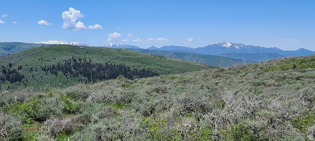 Unit D34, Spanish Fork, UT 84660
