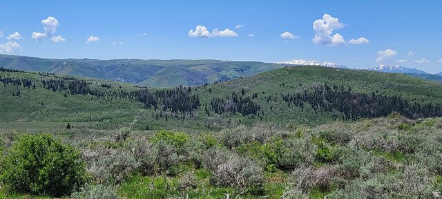 Unit D34, Spanish Fork, UT 84660