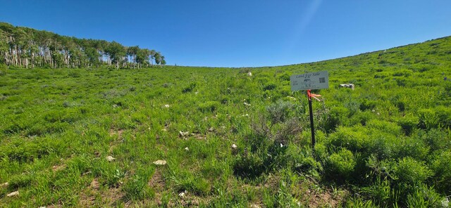 Unit D34, Spanish Fork, UT 84660 - photo 12