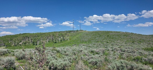 Unit D34, Spanish Fork, UT 84660 - photo 3