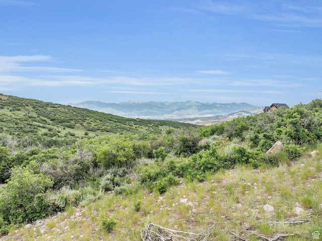 2151 S Westview Dr W Unit 1366, Heber City, UT 84032 - photo 4