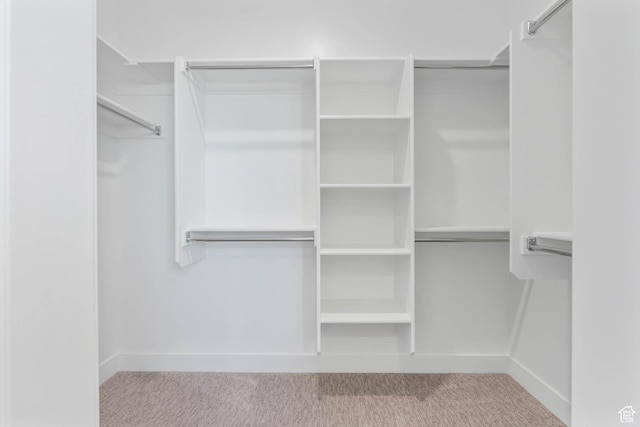 spacious closet with carpet