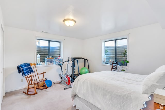 bedroom featuring multiple windows and light carpet