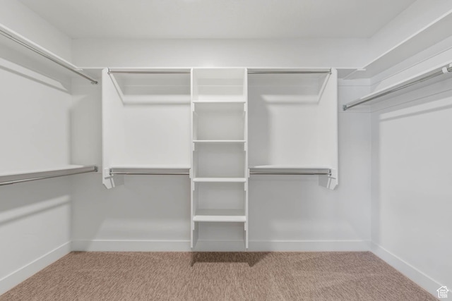 1208 W View Dr S, Santaquin, UT 84655 - walk in closet with carpet