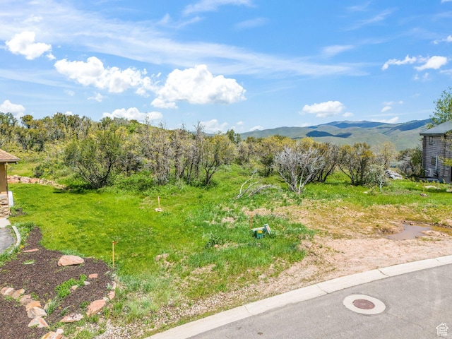 7236 Ridge Way, Park City, UT 84098 - photo 27