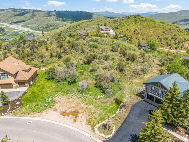 7236 Ridge Way, Park City, UT 84098 - photo 29