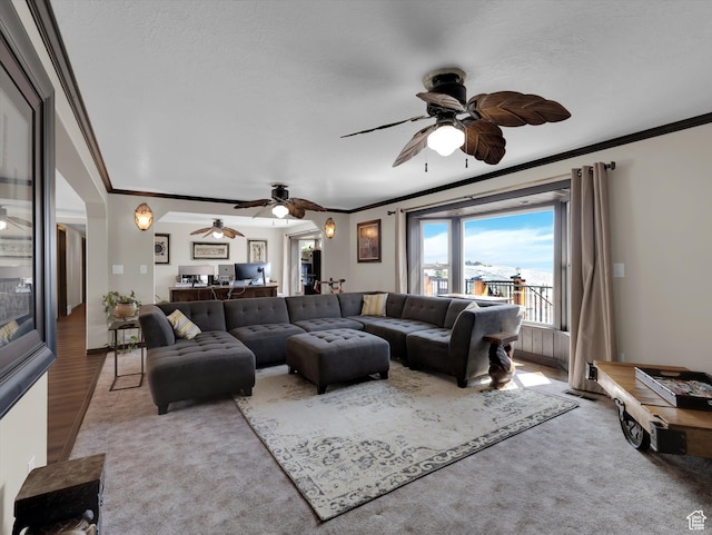 1271 E Oakridge Rd S, Park City, UT 84098 - living area with a textured ceiling, ornamental molding, and light colored carpet
