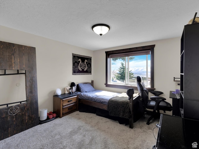 1271 E Oakridge Rd S, Park City, UT 84098 - bedroom with a textured ceiling and light colored carpet