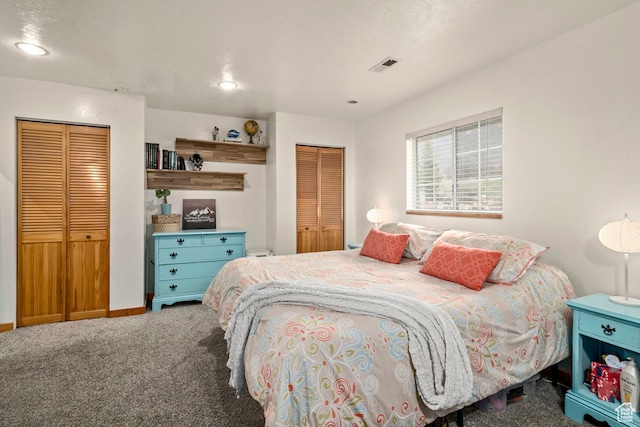 14975 S Canyon Rd, Santaquin, UT 84655 - bedroom with carpet and multiple closets