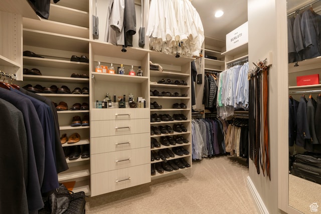 2227 E 5340 S, Holladay, UT 84117 - walk in closet with carpet floors