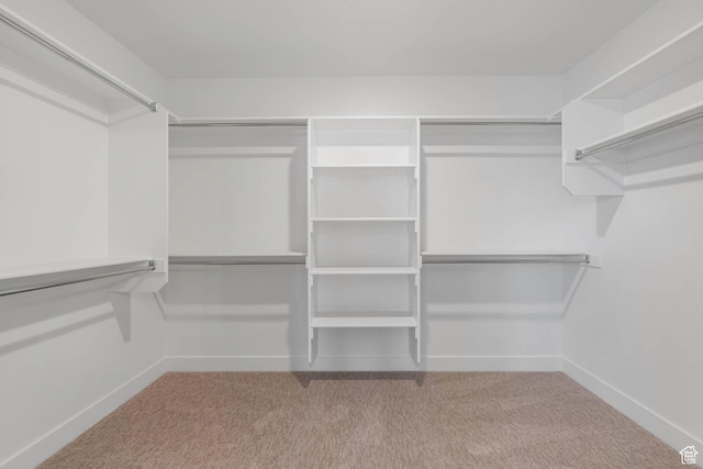1203 Crest Dale Ln, Santaquin, UT 84655 - walk in closet with carpet floors