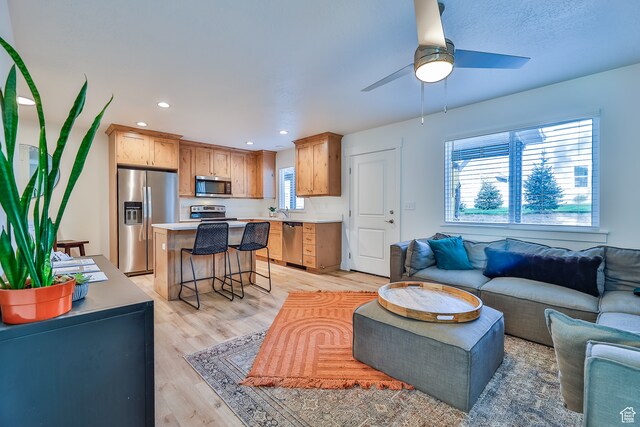 112 E 730 N Unit 102, Tooele, UT 84074 - living room with ceiling fan, sink, light wood-type flooring, and plenty of natural light