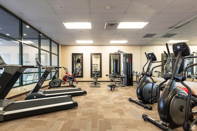 workout area with a paneled ceiling and light colored carpet
