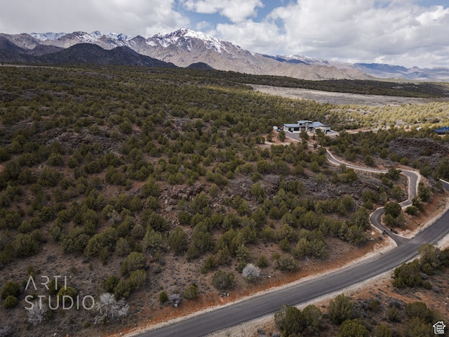 3024 S Juniper Way, New Harmony, UT 84757 - photo 6
