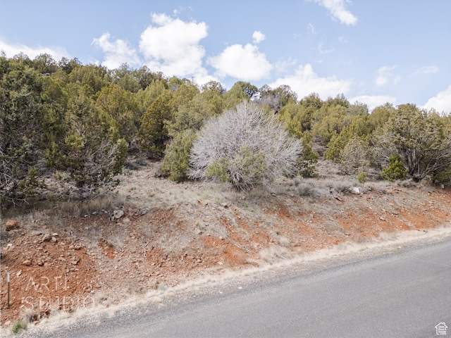 3024 S Juniper Way, New Harmony, UT 84757 - photo 12