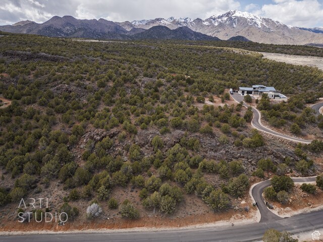 3024 S Juniper Way, New Harmony, UT 84757 - photo 5