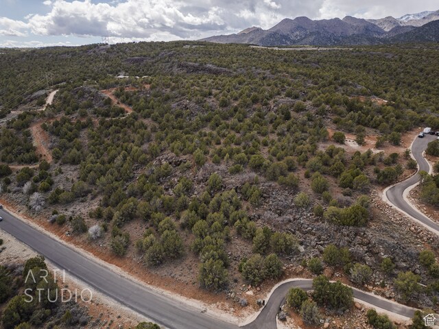 3024 S Juniper Way, New Harmony, UT 84757 - photo 4