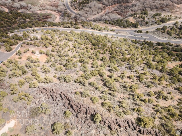 3024 S Juniper Way, New Harmony, UT 84757 - photo 8