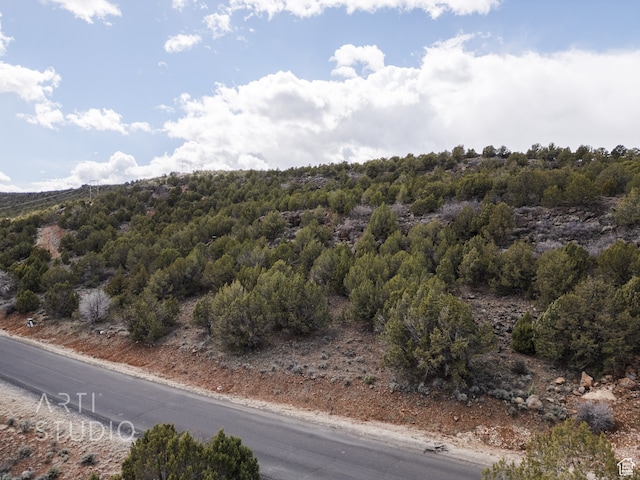 3024 S Juniper Way, New Harmony, UT 84757 - photo 14