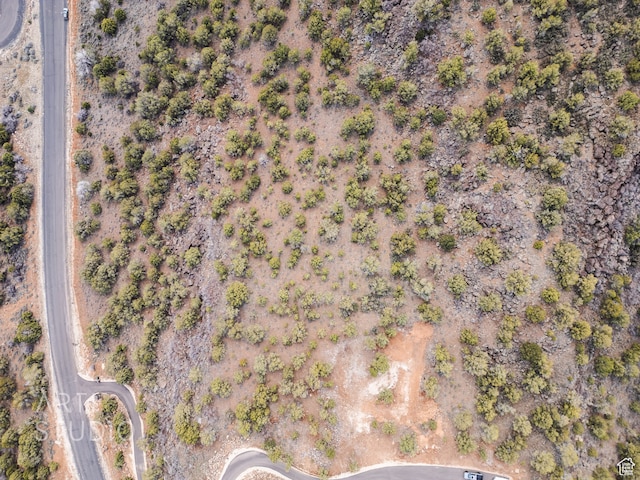 3024 S Juniper Way, New Harmony, UT 84757 - photo 16