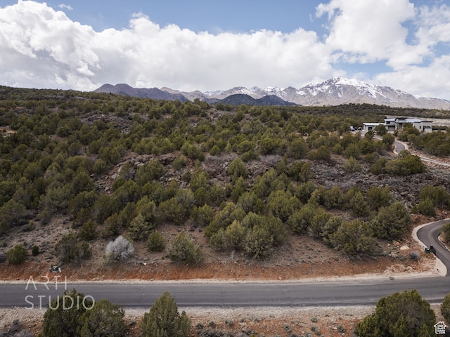 3024 S Juniper Way, New Harmony, UT 84757 - photo 2