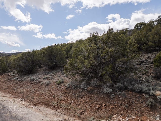 3024 S Juniper Way, New Harmony, UT 84757 - photo 13