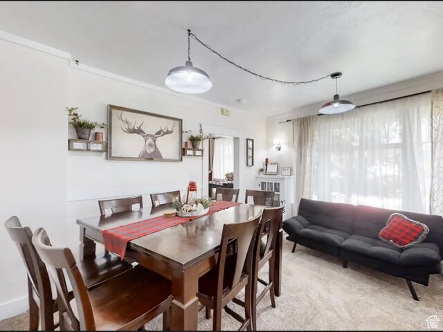 27 W 150 S, Garden City, UT 84028 - view of carpeted dining room