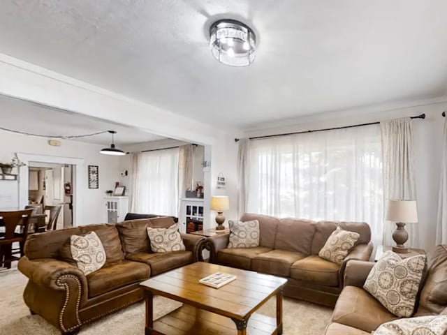 27 W 150 S, Garden City, UT 84028 - living room featuring a healthy amount of sunlight