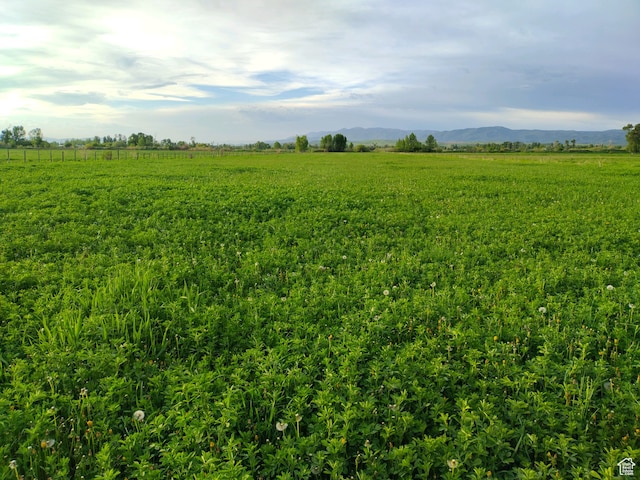 302 4th S, Dingle, ID 83233