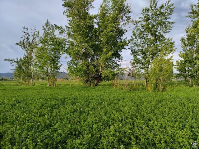 302 4th S, Dingle, ID 83233